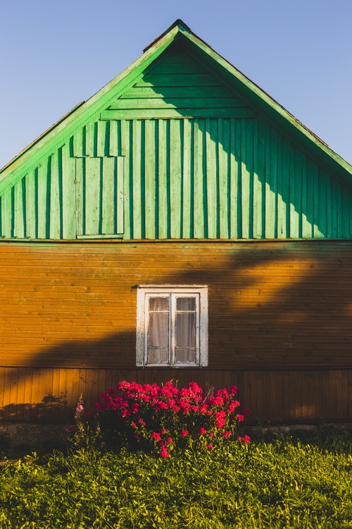 flowers behind a house